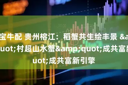 宝牛配 贵州榕江：稻蟹共生绘丰景 "村超山水蟹"成共富新引擎