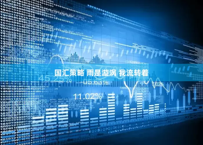 国汇策略 雨是漩涡 我流转着